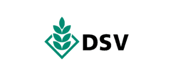 DSV Logo