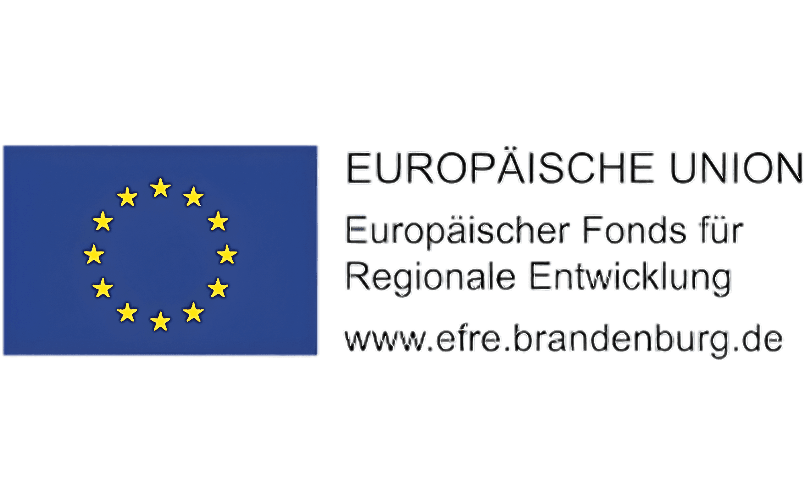Europaeische Union Logo